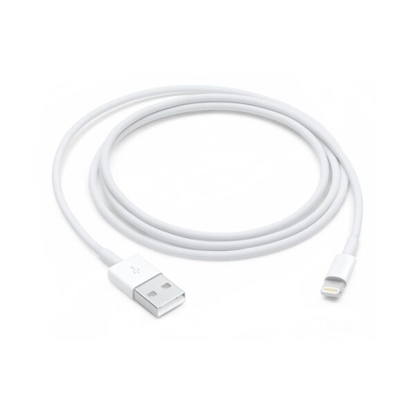 Apple Lightning to USB Cable