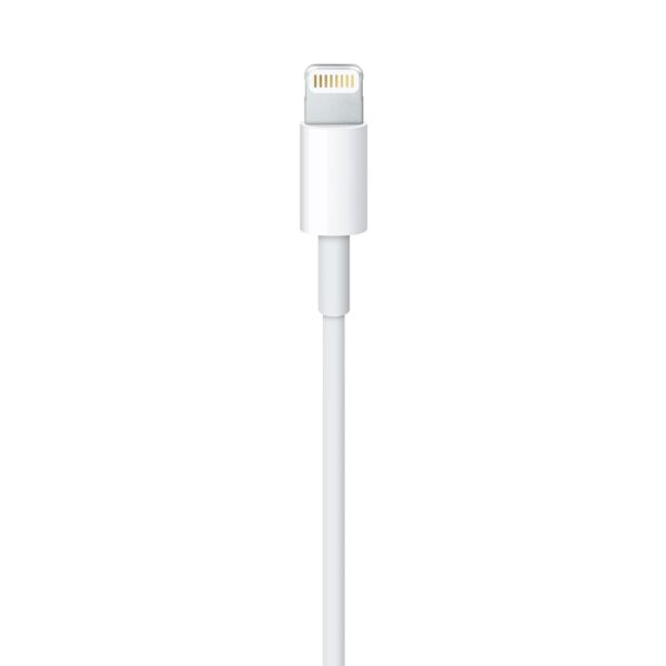 Apple Lightning to USB Cable - Image 3